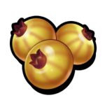 Yellow Berries